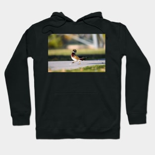 Cross the Road Hoodie